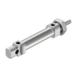 Cilindro Normalizado DSNU-20-50-P-A